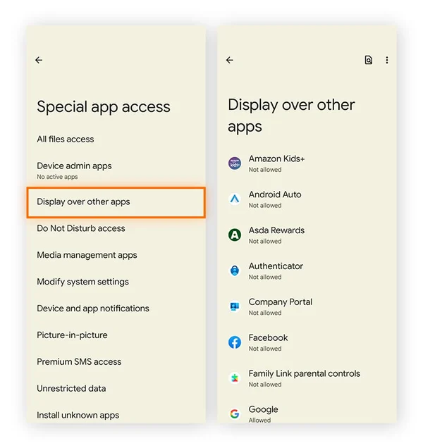 Android 手机上特殊应用访问选项的截图