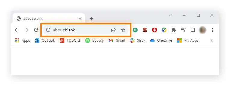 Chrome 浏览器中的 about:blank 页面范例