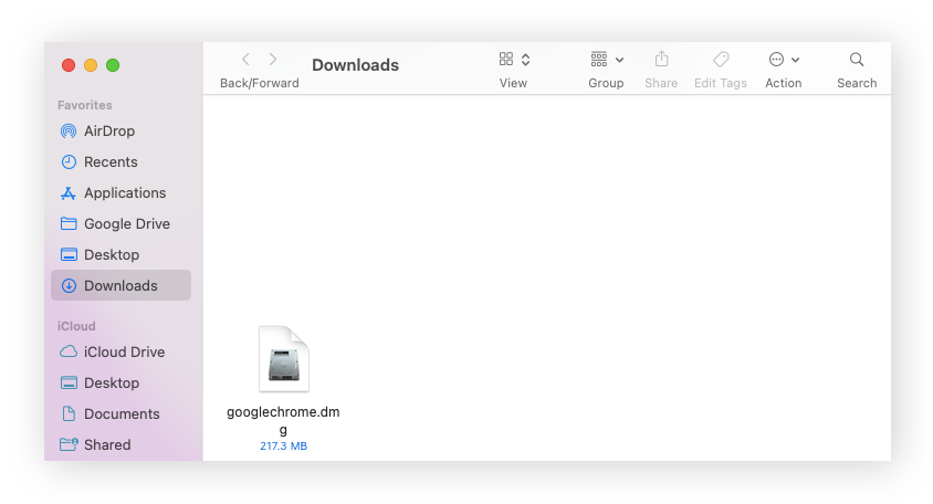 下载的 Google Chrome 文件在下载文件夹中。